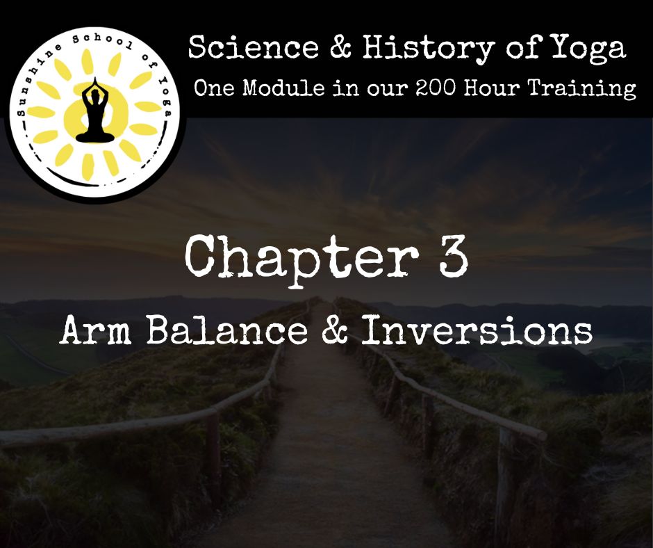 Arm Balance & Inversion Workshop