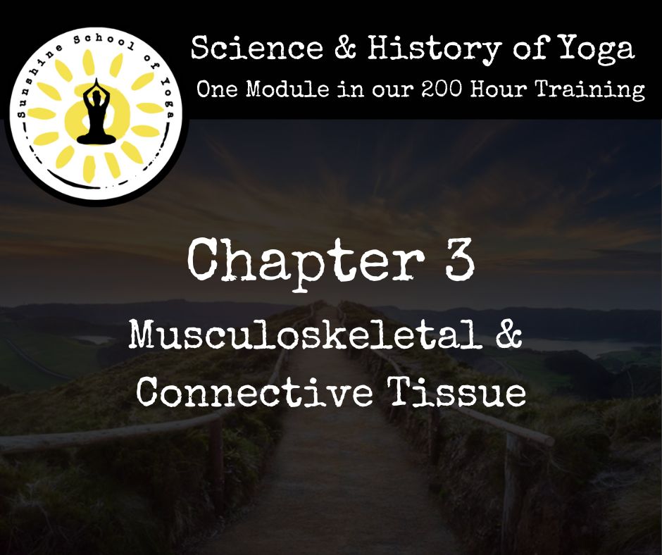 Musculoskeletal & Connective Tissue