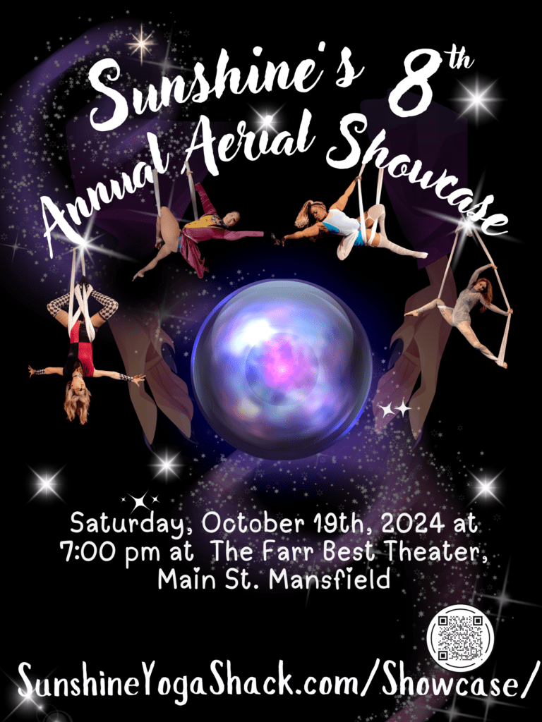 A poster for the annual aerial showcase.