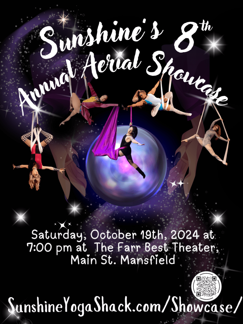 A poster of the annual aerial showcase.