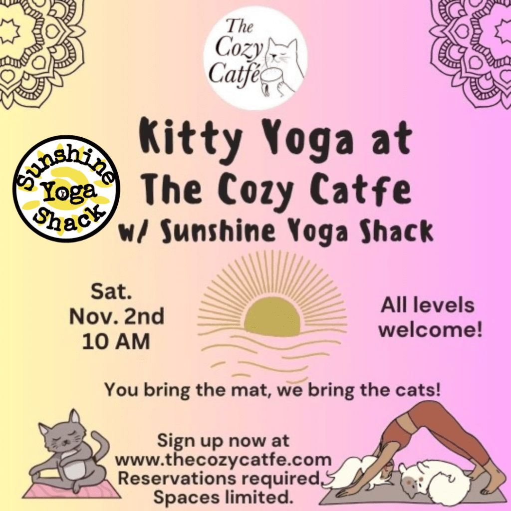 A poster for the cozy catfe yoga event.