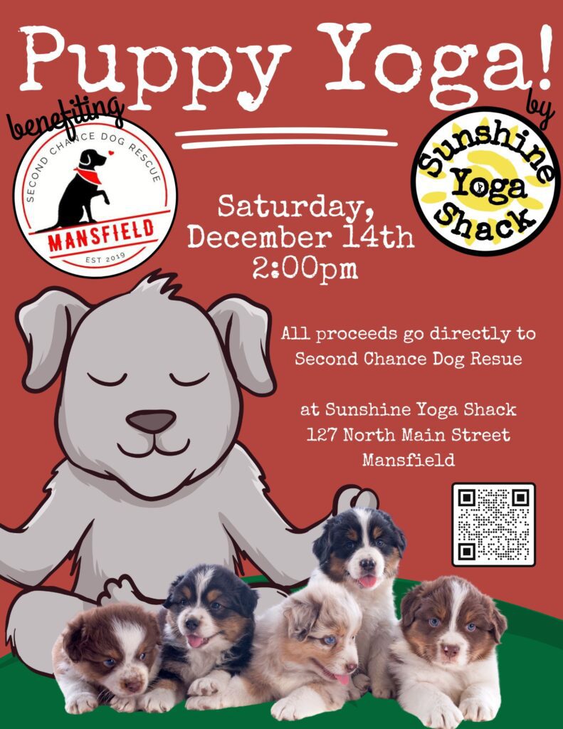 A poster for the puppy yoga event.